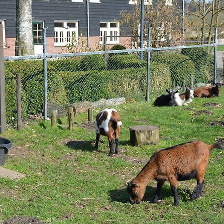 De Rulse Hoeve 히츠 외부 사진