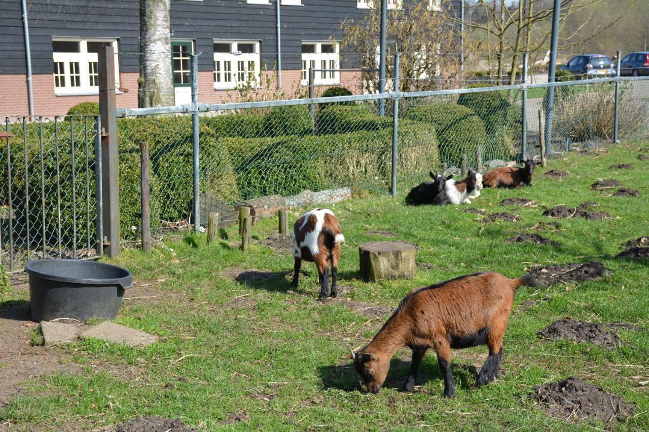 De Rulse Hoeve 히츠 외부 사진